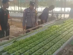 Polsek Bunut Hulu Gelar Polisi Peduli Pengangguran, Bantu Masyarakat Akses Peluang Kerja