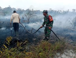 Kobar Api Dekati Pemukiman Kelapa Kampit, Sinergi TNI-Warga Kepung Karhutla 4 Hektar