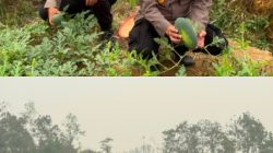 Terus Dorong Jajaran Perkuat Ketahanan Pangan, Polres Melawi Sulat Lahan Tidur Jadi Area Produktif