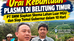 Urai Kebuntuan Plasma di Belitung Timur, PT SMM Siapkan Skema Lahan Luar HGU dan Siap Temui Gubernur dalam 10 Hari