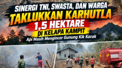 Sinergi TNI, Swasta, dan Warga Taklukkan Karhutla 1,5 Hektare di Kelapa Kampit, Api Masih Mengincar Gunung Kik Karak