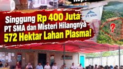 Kades Batu Penyu Buka Suara Kepada Anggota Koperasi BMS: Singgung Rp 400 Juta PT SMA dan Misteri Hilangnya Beberapa Hektar Lahan Plasma!